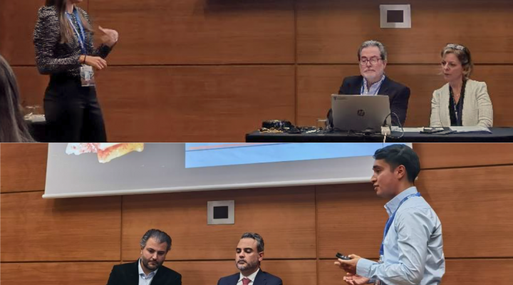 Éxitos de los estudiantes del HOUB en el Congreso SEI-Toledo 2025.